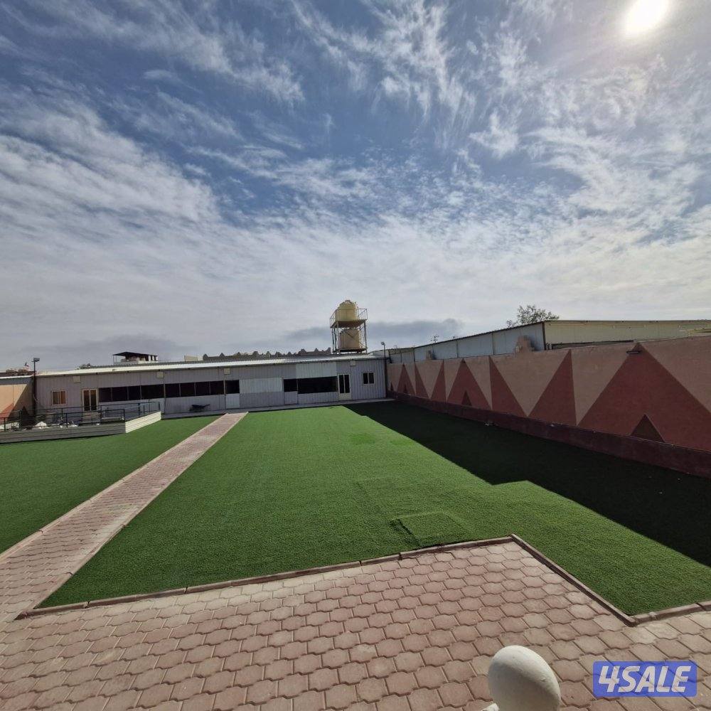 جاخور في كبد2