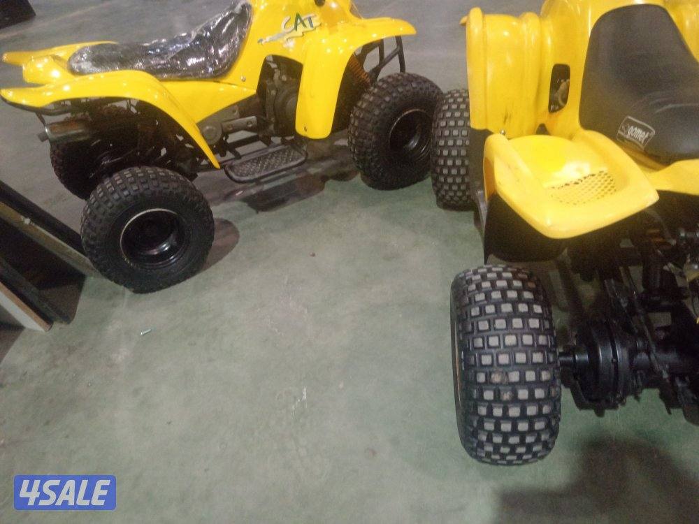 عميري اصلي حجم ٥٠ سيسي تايون شغاال3