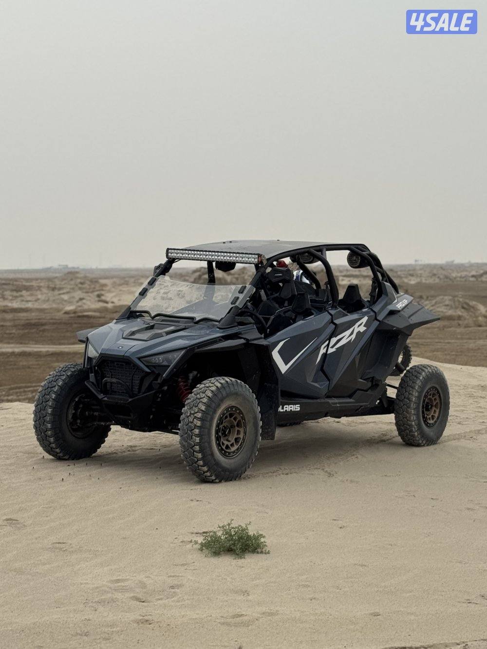 للبيع RZR 10002