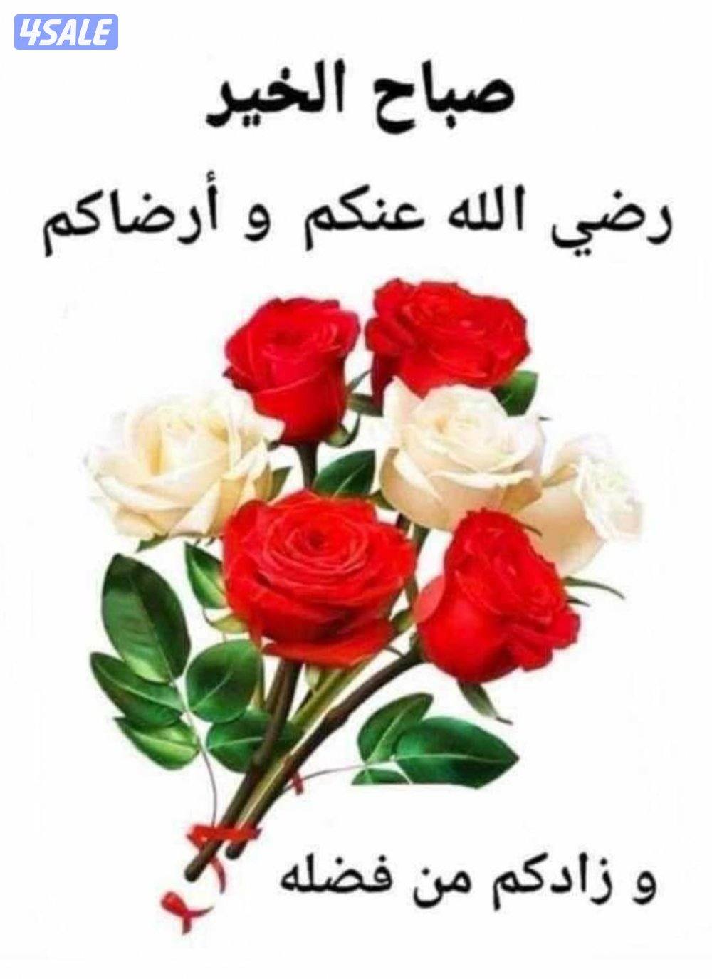 تدريس أحياء للثانوي0