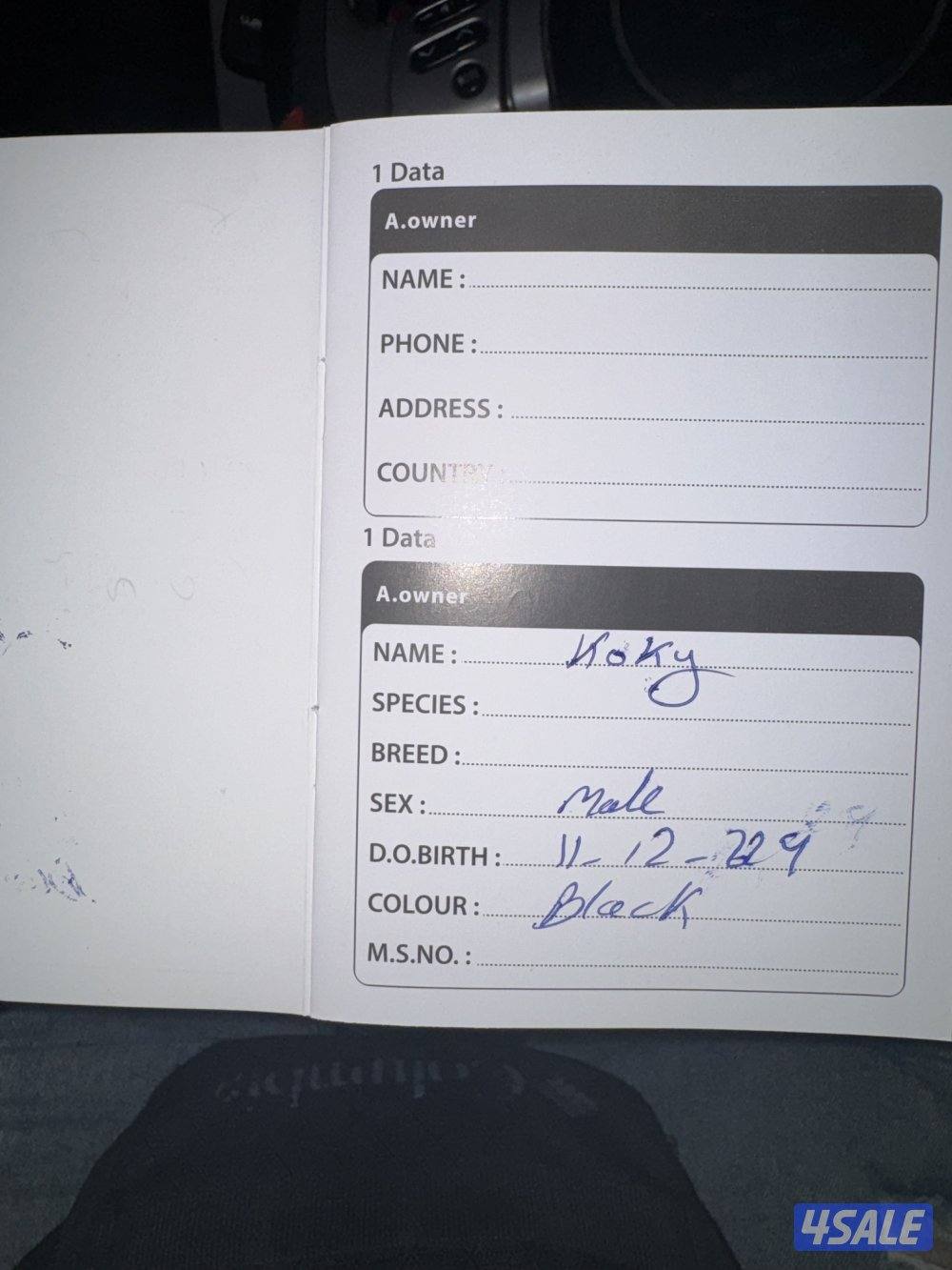 مستورد. أوربا سلالته بيور عنده بسبور واخد جميع التحصينات مدرب9