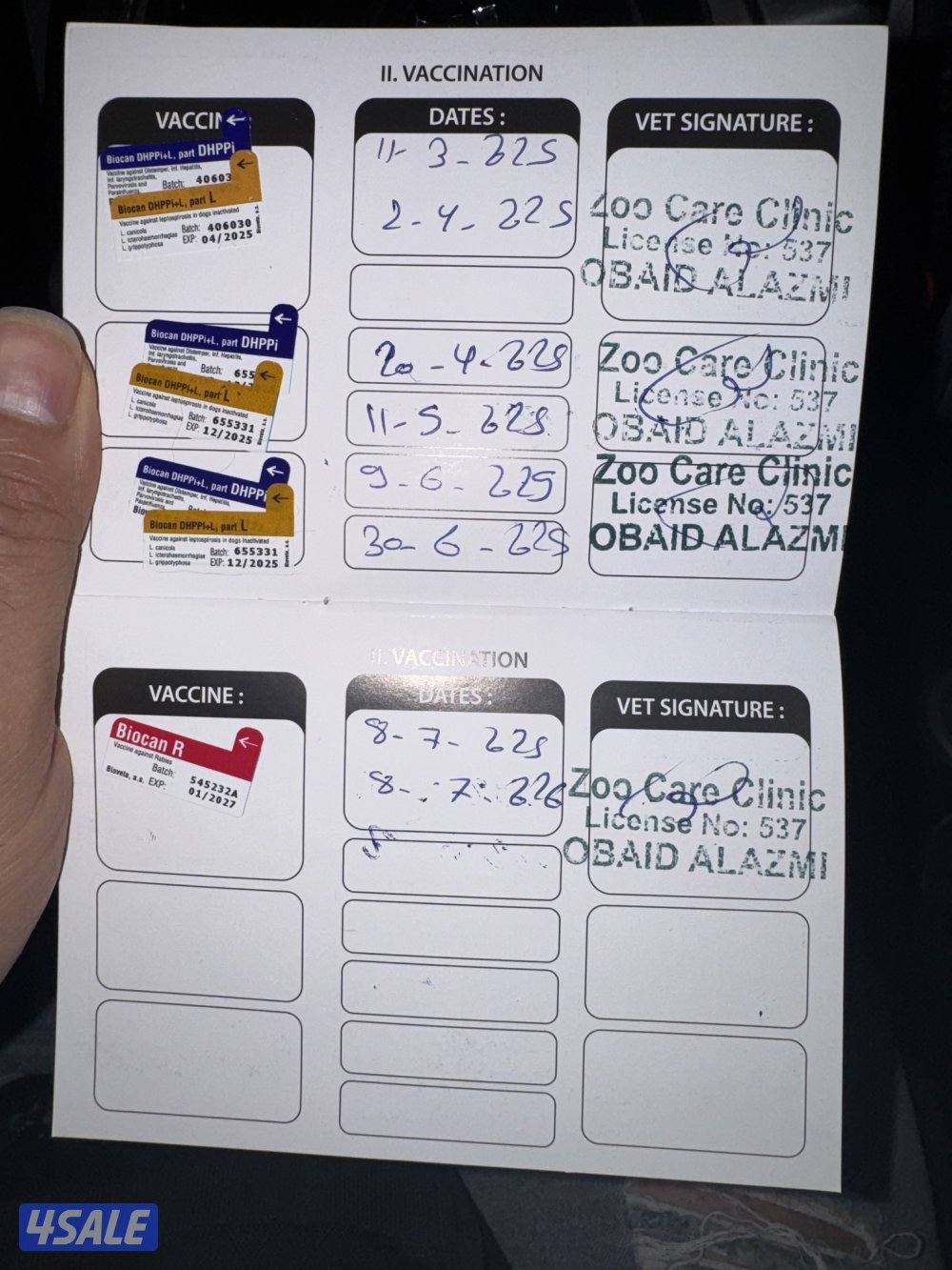 مستورد. أوربا سلالته بيور عنده بسبور واخد جميع التحصينات مدرب10