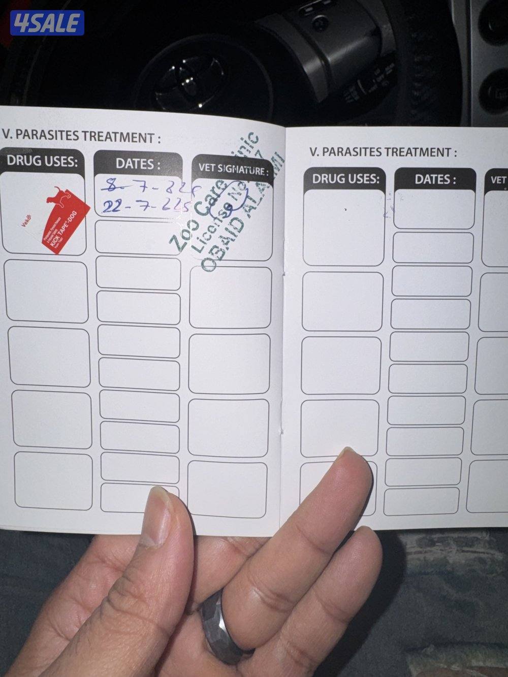 مستورد. أوربا سلالته بيور عنده بسبور واخد جميع التحصينات مدرب11