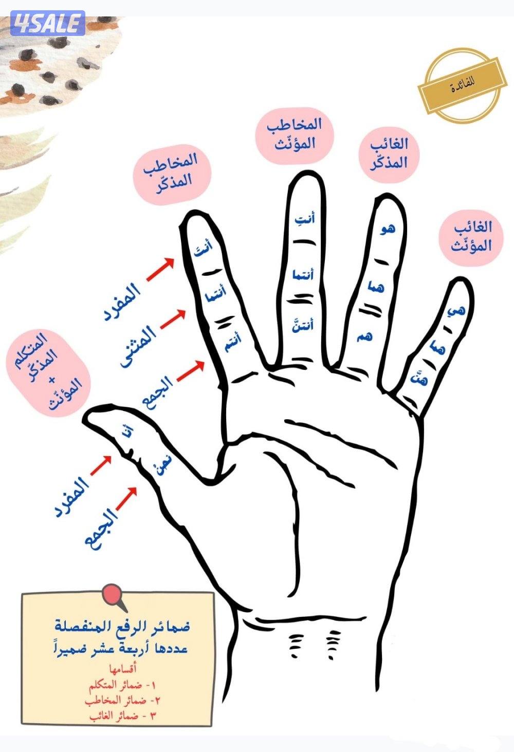 مدرس لغة عربية لجميع المراحل4