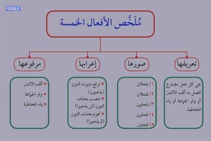 مدرس لغة عربية لجميع المراحل3