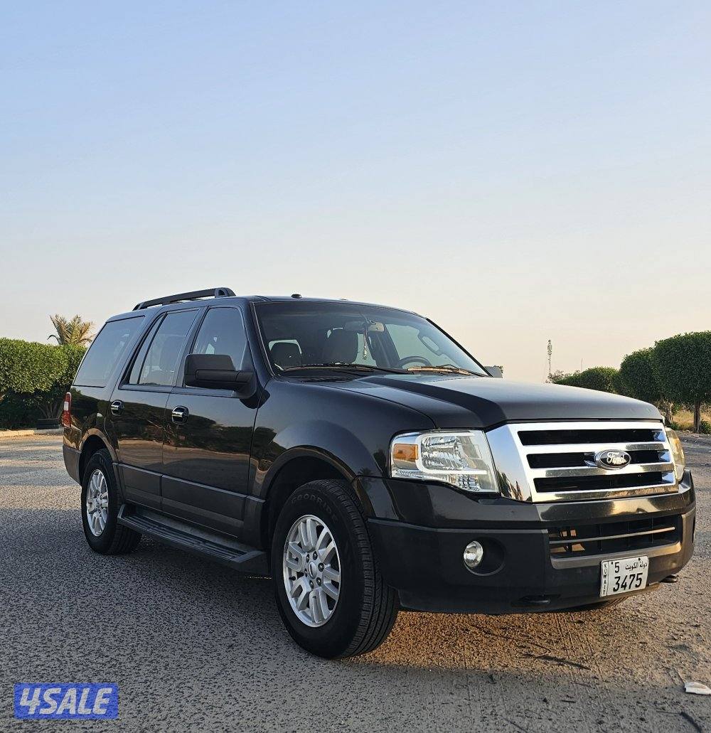 2014 صبغ وكالة بالكامل1