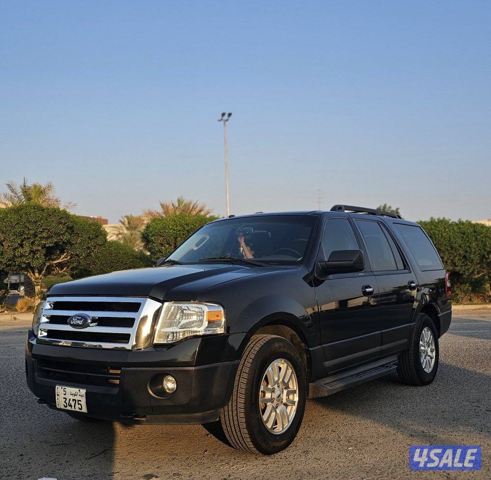 2014 صبغ وكالة بالكامل3