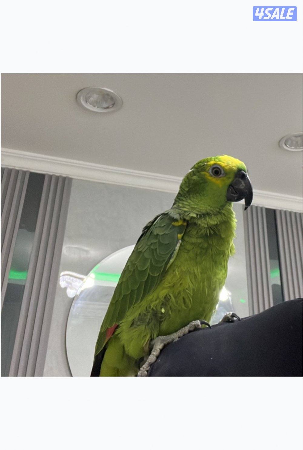 تبنينيتيتيتيت1