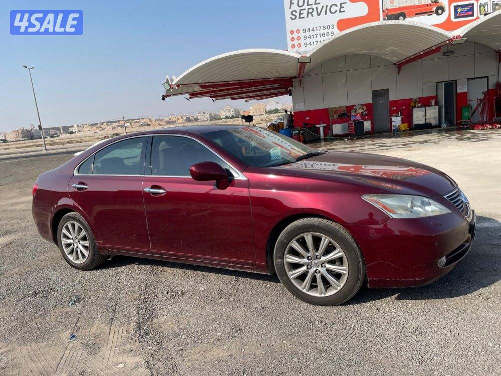 بحالة نادرة وممشى قليل2