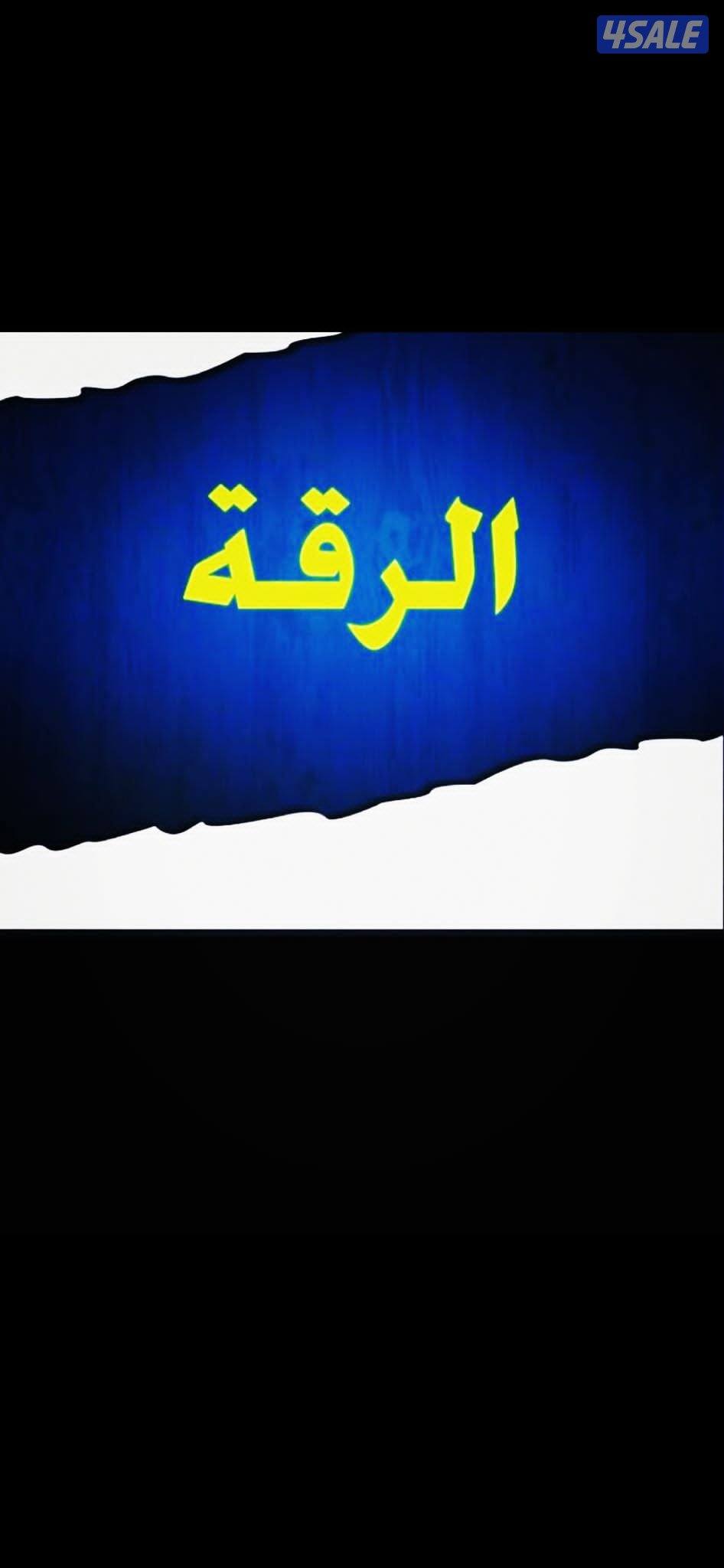 للبيع بالرقه شارع واحدراجع ١٢ م0