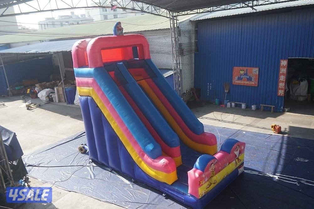 للأيجار نطاطيات الوفرة0