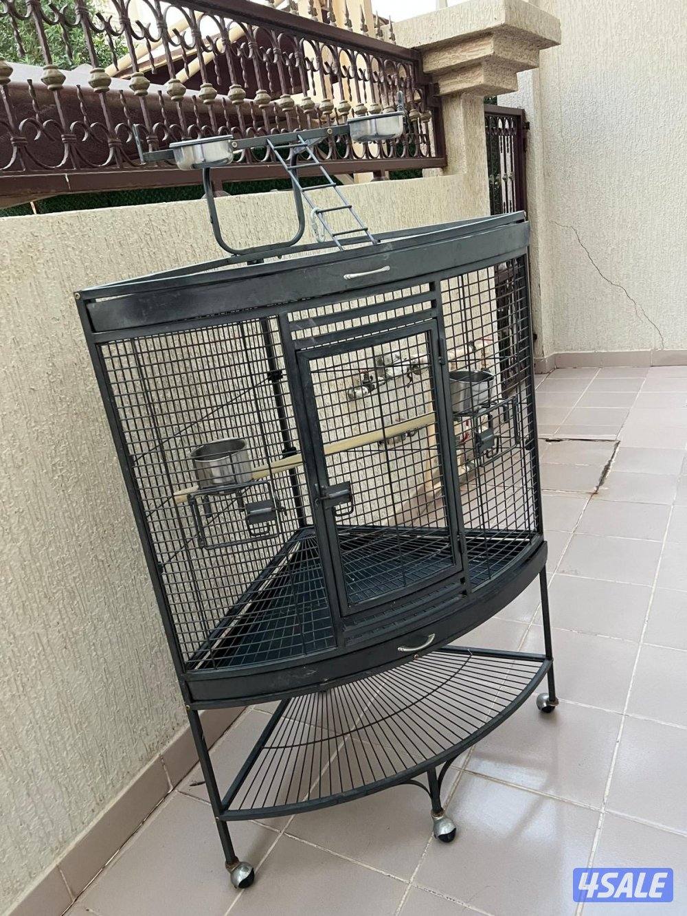 جنوب السرة0