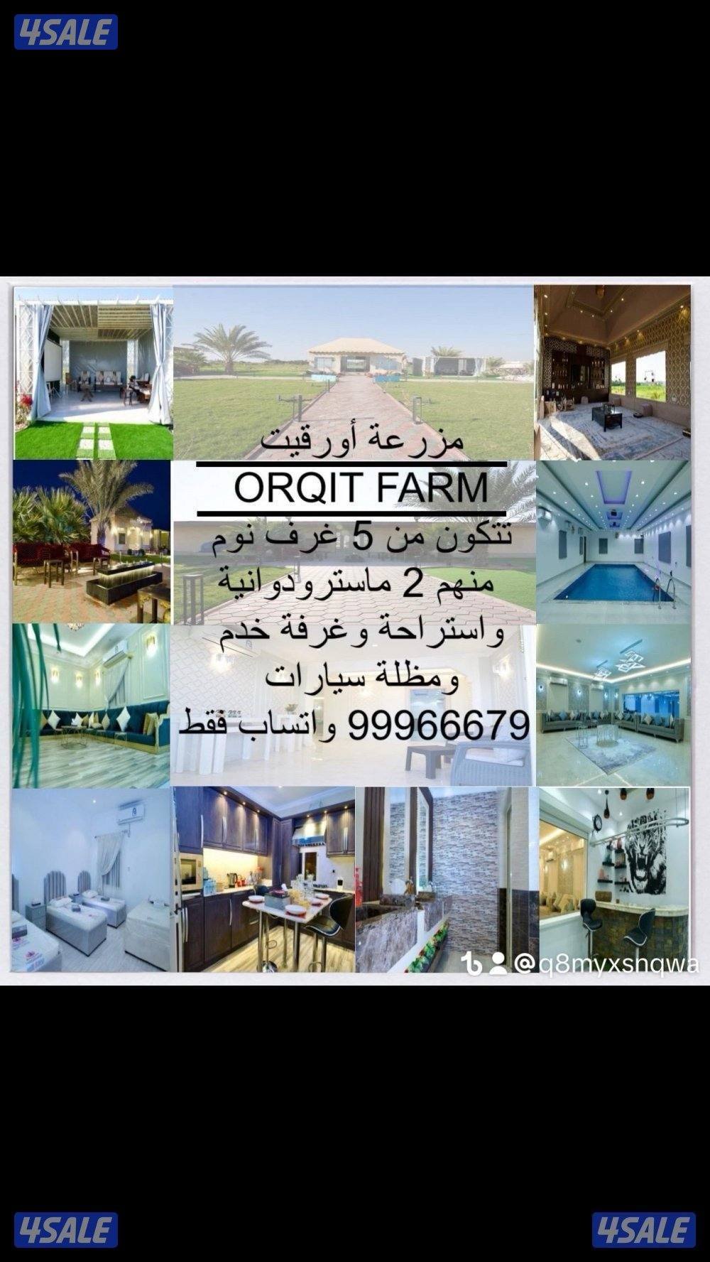 للإيجار مزرعه يومي وسبوعي بالعبدلي9