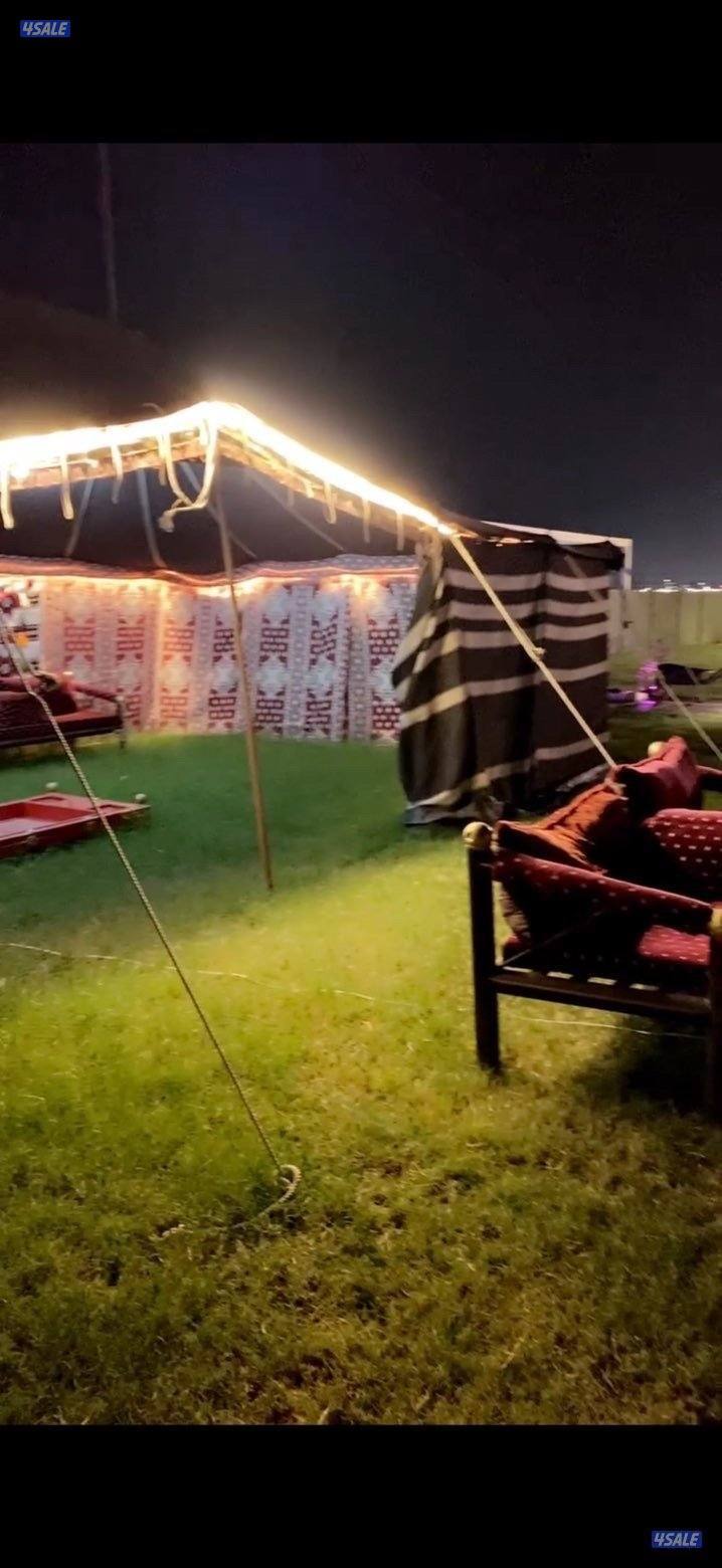 للإيجار مزرعه يومي وسبوعي بالعبدلي11