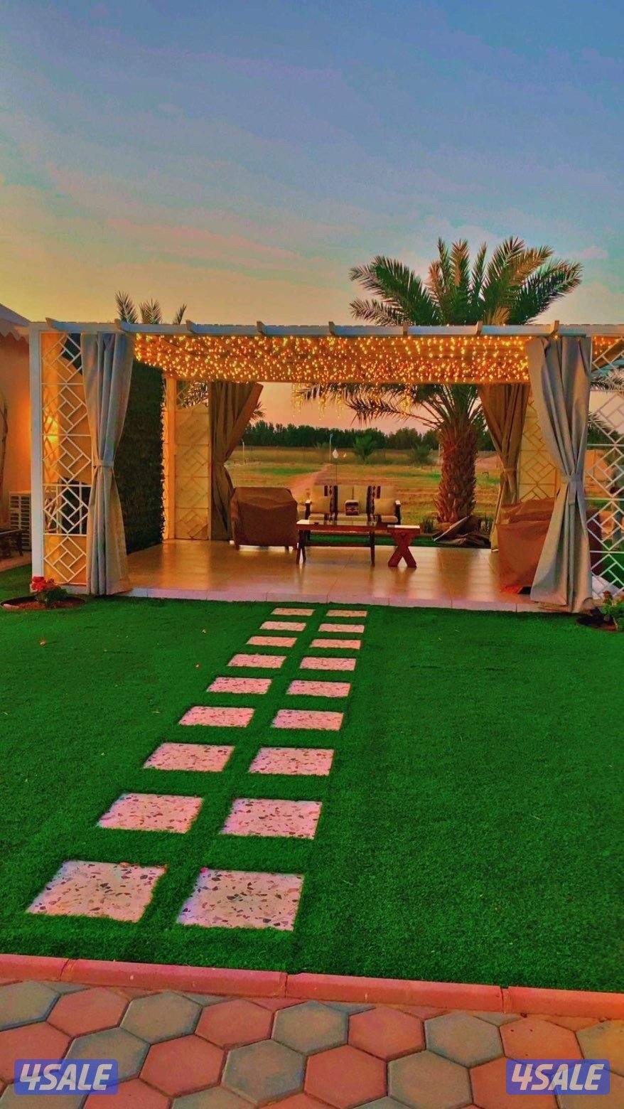 للإيجار مزرعه يومي وسبوعي بالعبدلي12