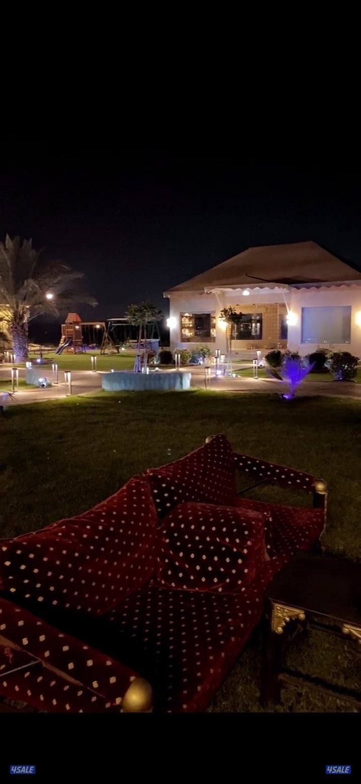 للإيجار مزرعه يومي وسبوعي بالعبدلي13