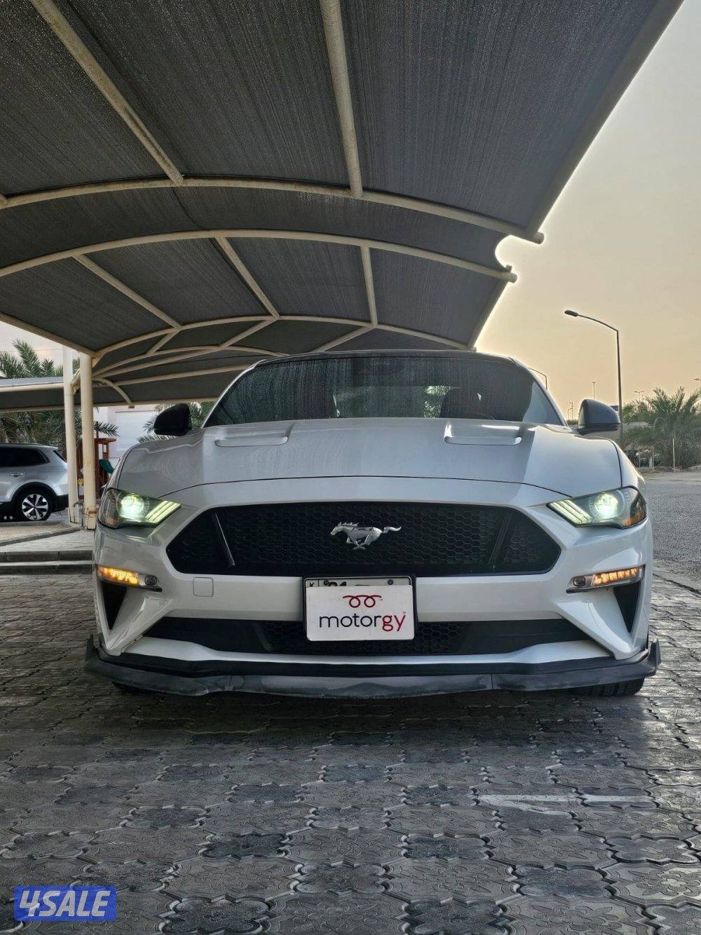 يرجي تواصل وتساب0