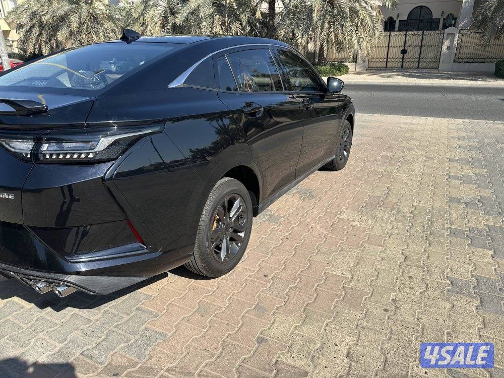 دي أف ام  A301