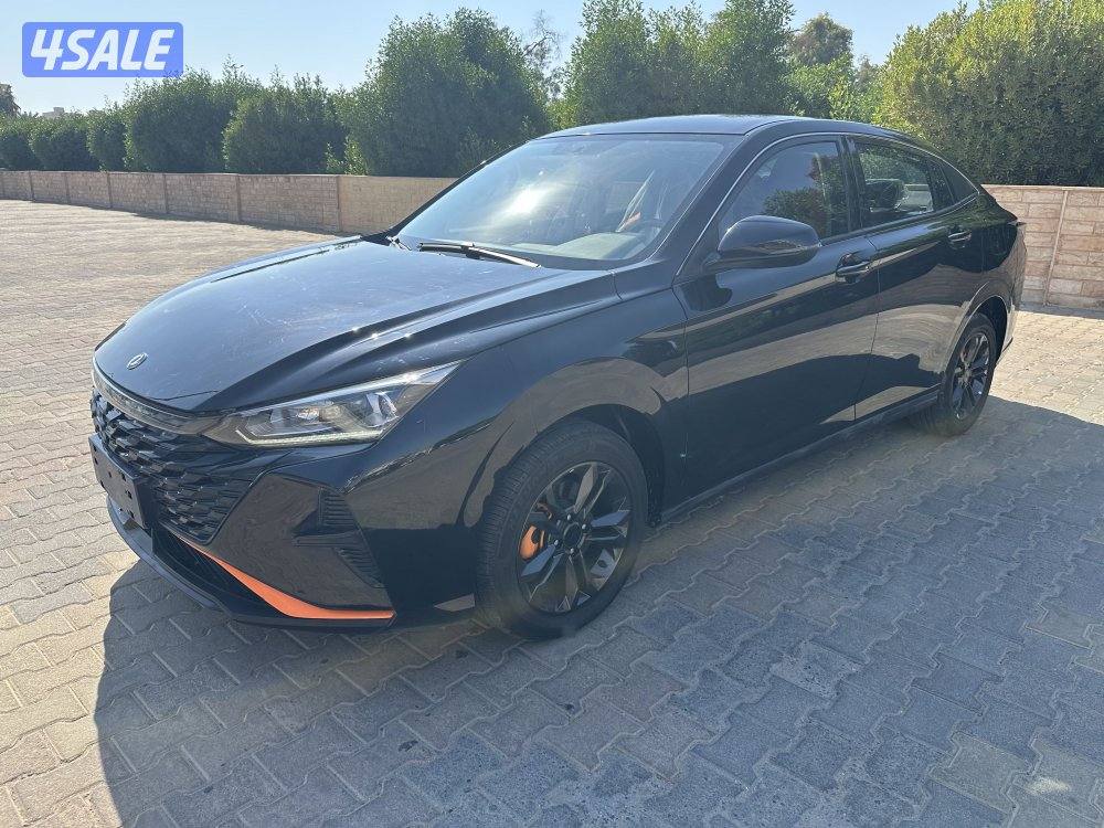 دي أف ام  A305