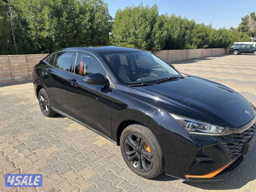 دي أف ام  A309