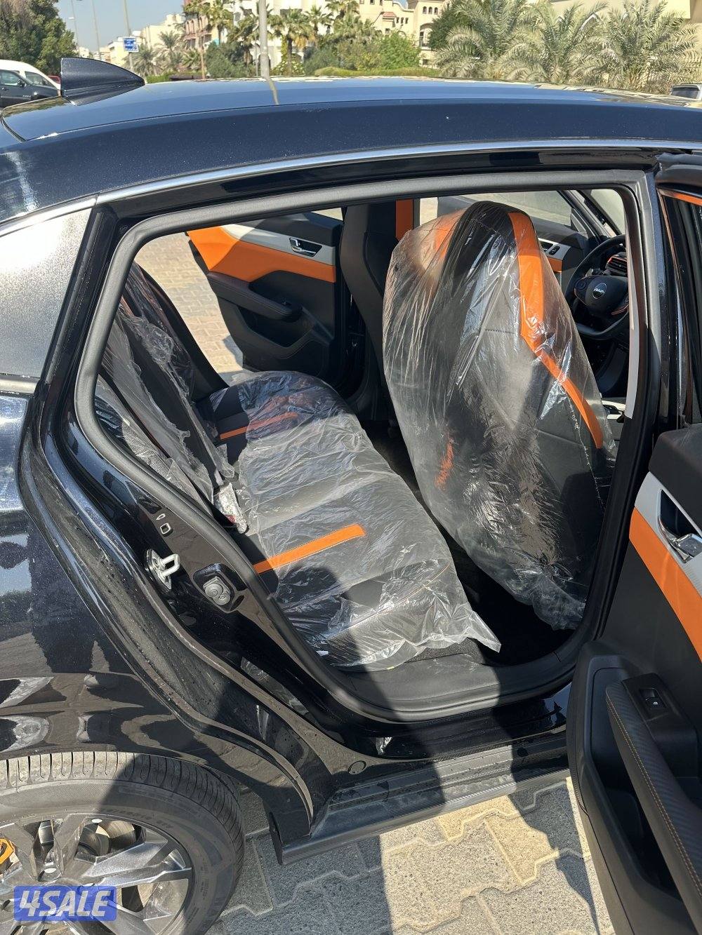 دي أف ام  A3010