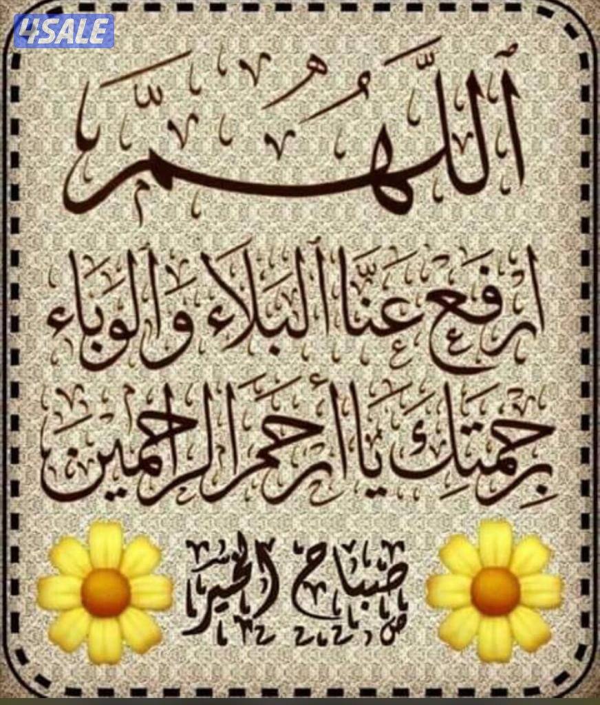 معلم لغة انجليزية للثانوى والمتوسط0