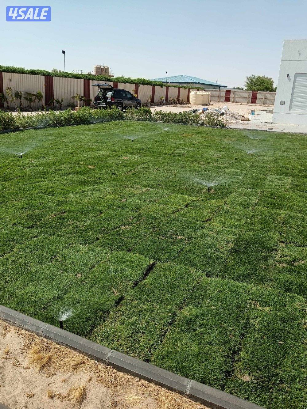 تنسيق حدائق جميع مناطق الكويت ثيل طبيعي وصناعي وسياج تركي وتمديد شبكات8