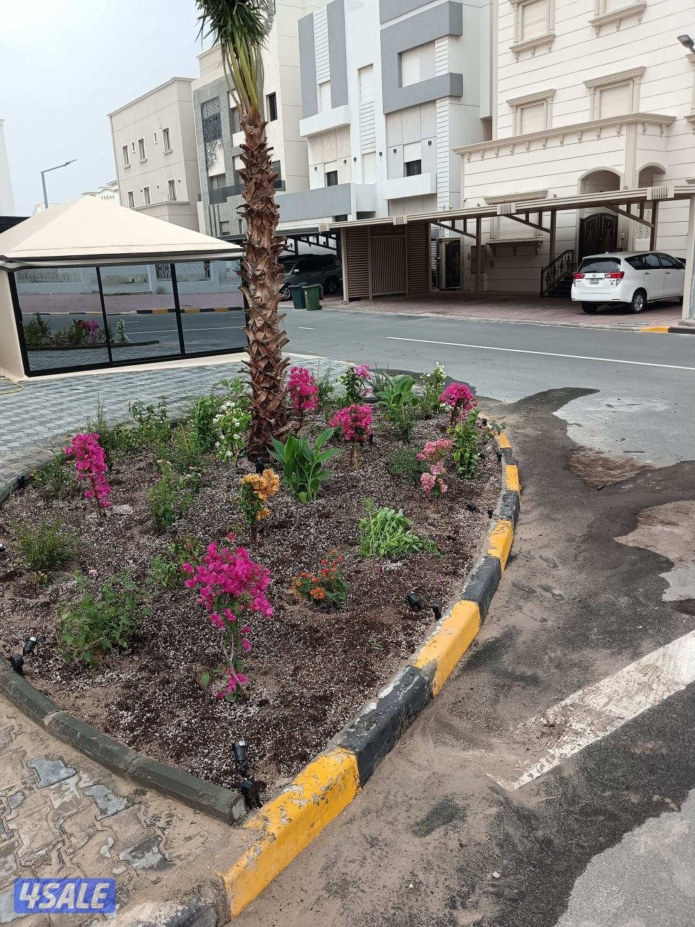 تنسيق حدائق جميع مناطق الكويت ثيل طبيعي وصناعي وسياج تركي وتمديد شبكات9