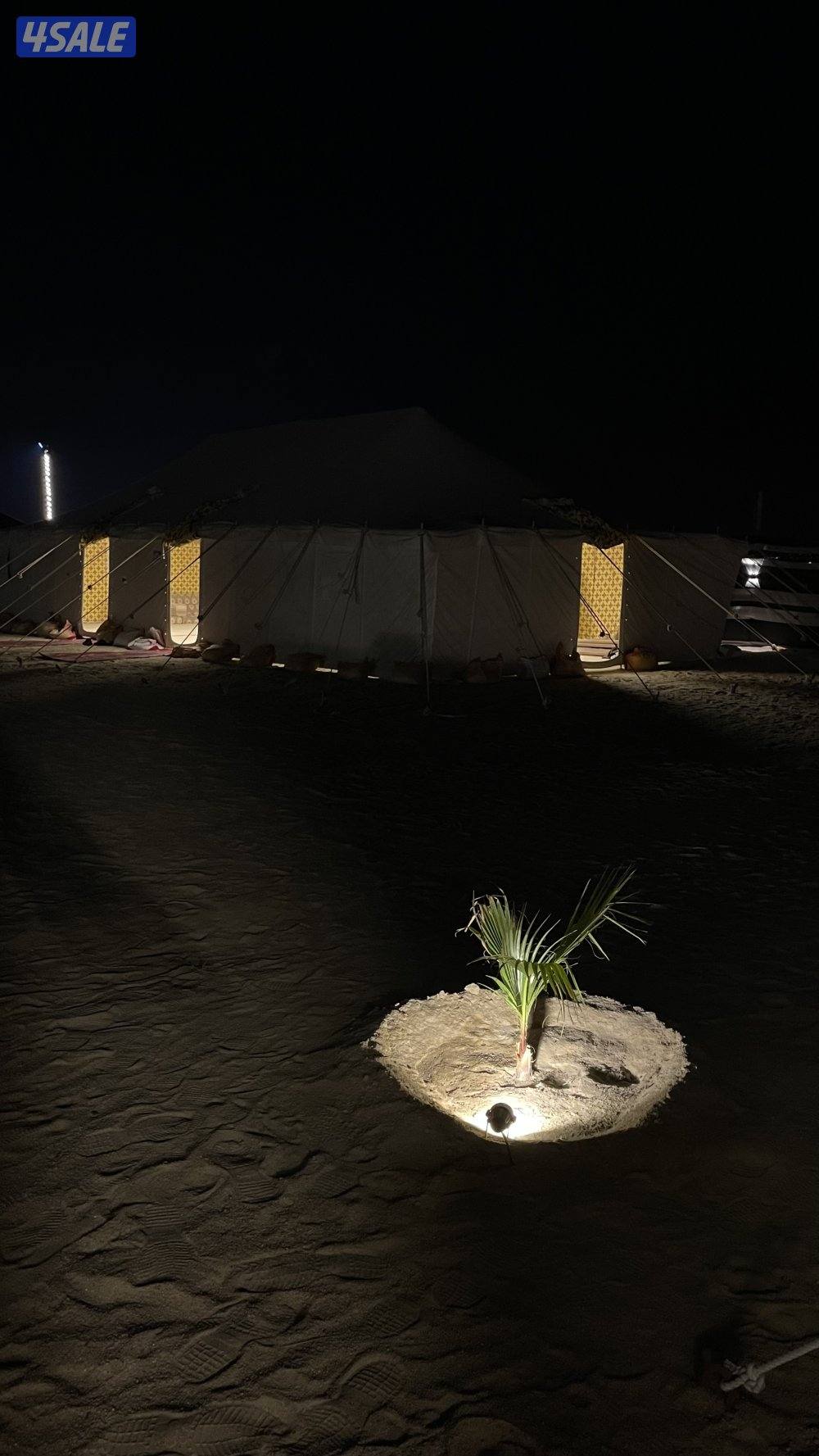 مخيم الخزامى13