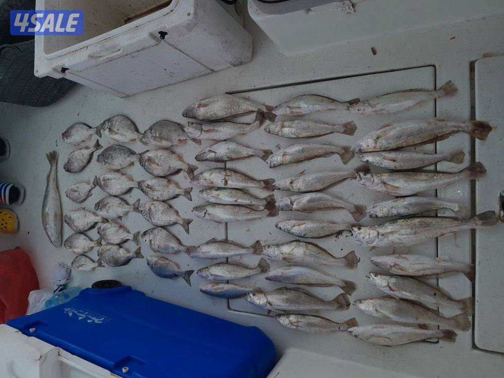 تاجير طراد رحلات بحريه ايجار طراد للايجار توصيل جزر وناسه3