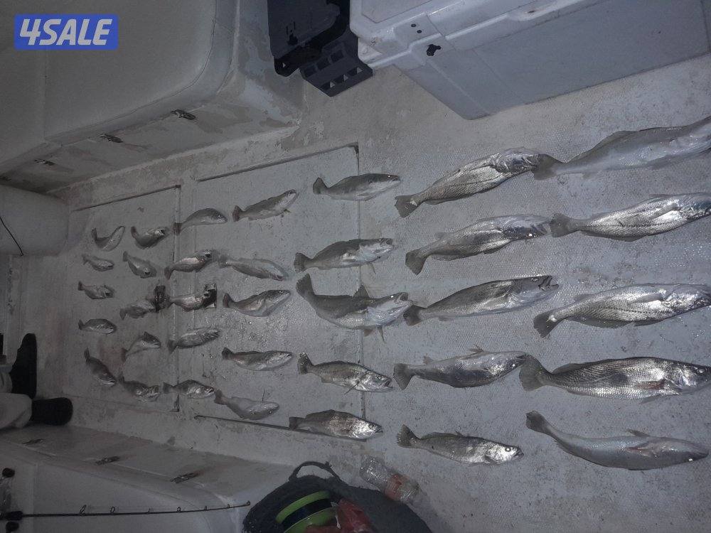 تاجير طراد رحلات بحريه ايجار طراد للايجار توصيل جزر وناسه4