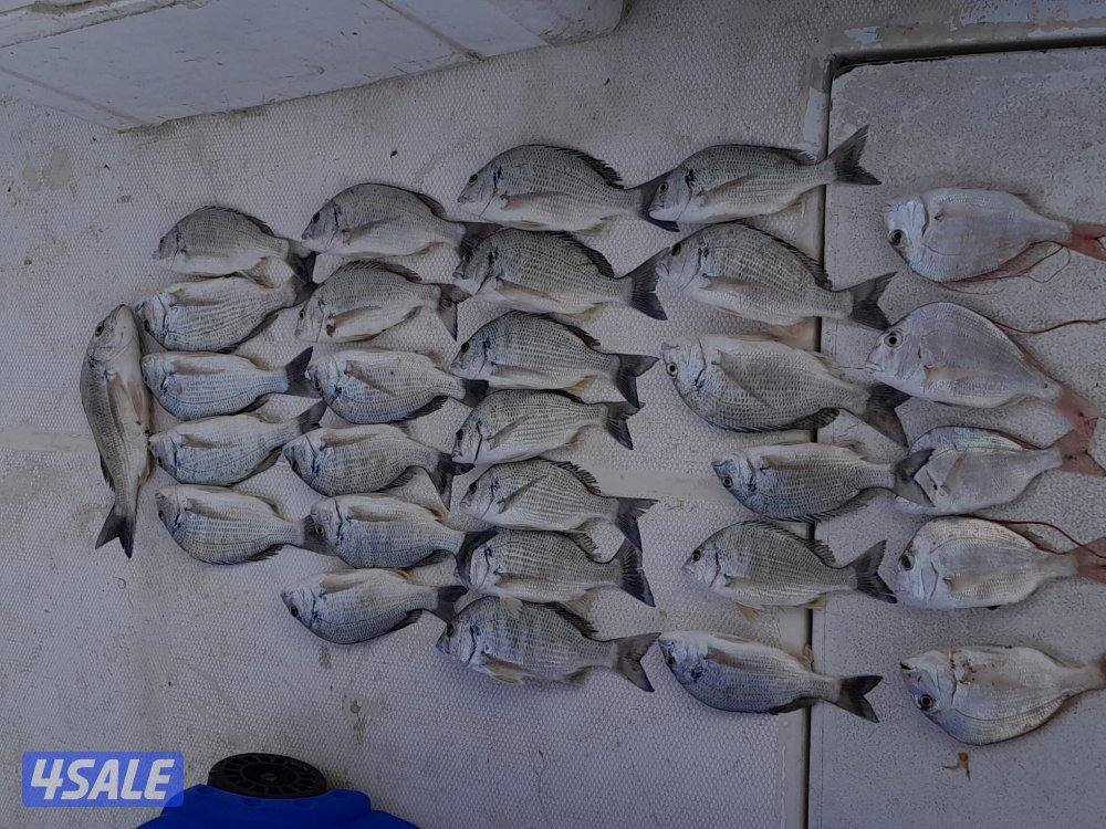 تاجير طراد رحلات بحريه ايجار طراد للايجار توصيل جزر وناسه6