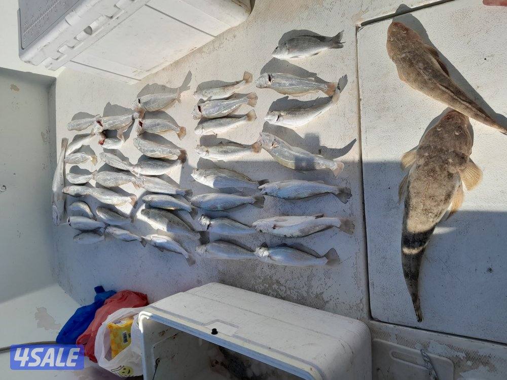 تاجير طراد رحلات بحريه ايجار طراد للايجار توصيل جزر وناسه7