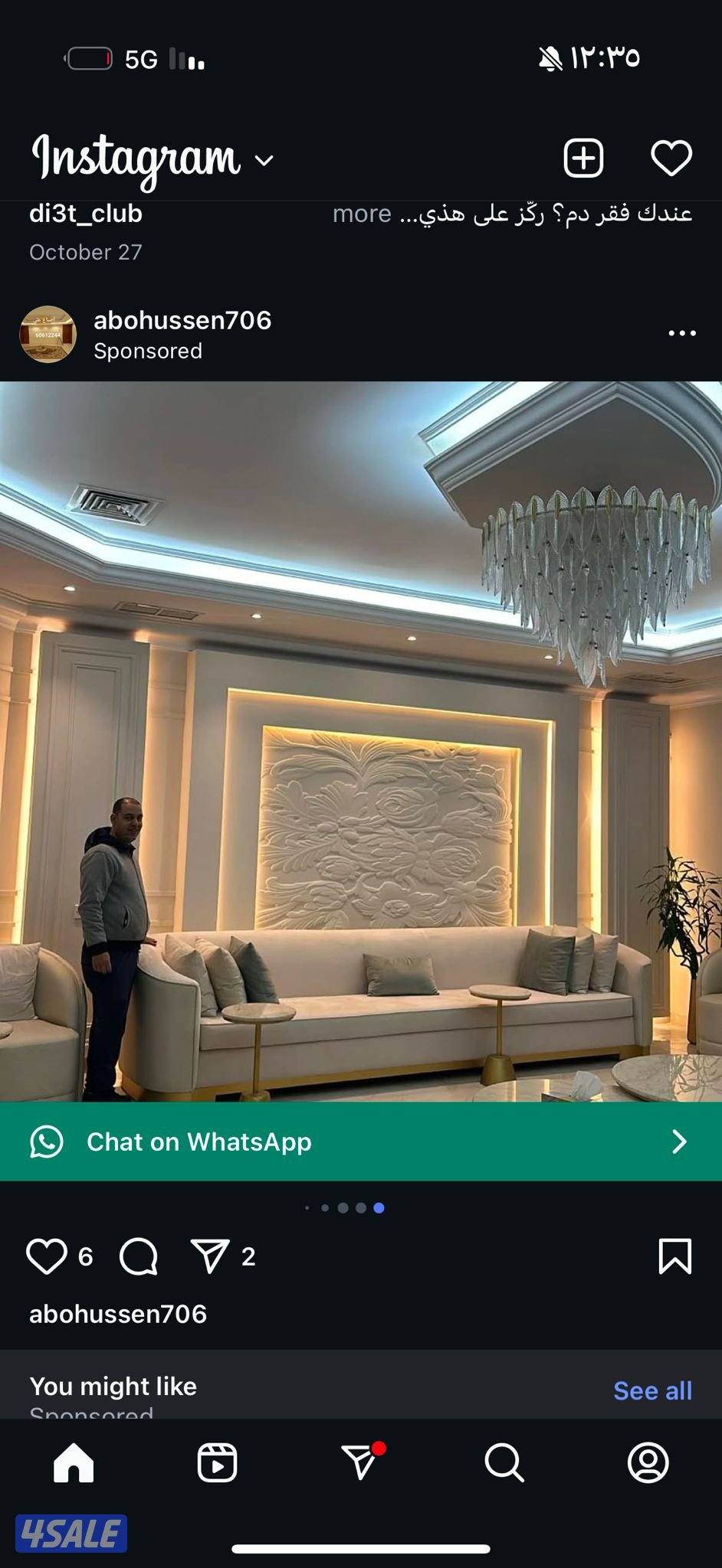 أصباغ العلي1