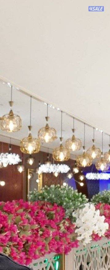 ابحث عن عمل مندوب0