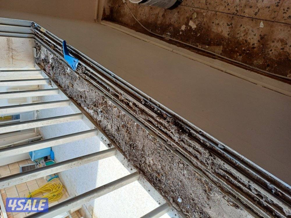 غسيل بالشامبو - تنظيف ناشف - غسيل سجاد برادي - اثاث - كنفات - شقق - فل9