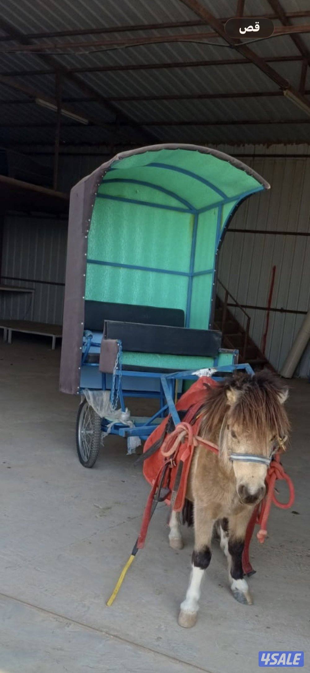 بيعة سريعة بوني للبيع1