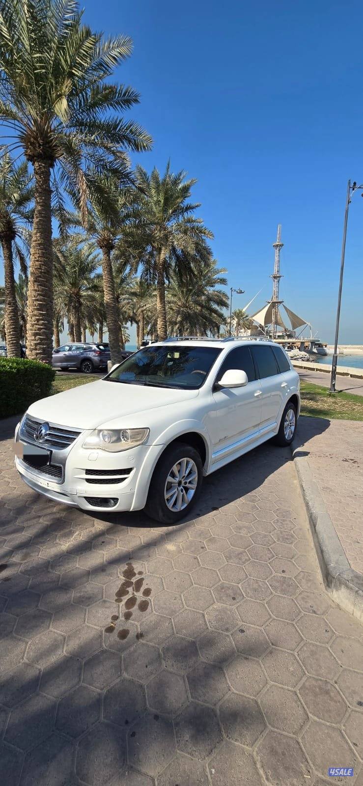 صبغ المصنع أعلى درجة إصدار خاص بحالة ممتازة جدا8