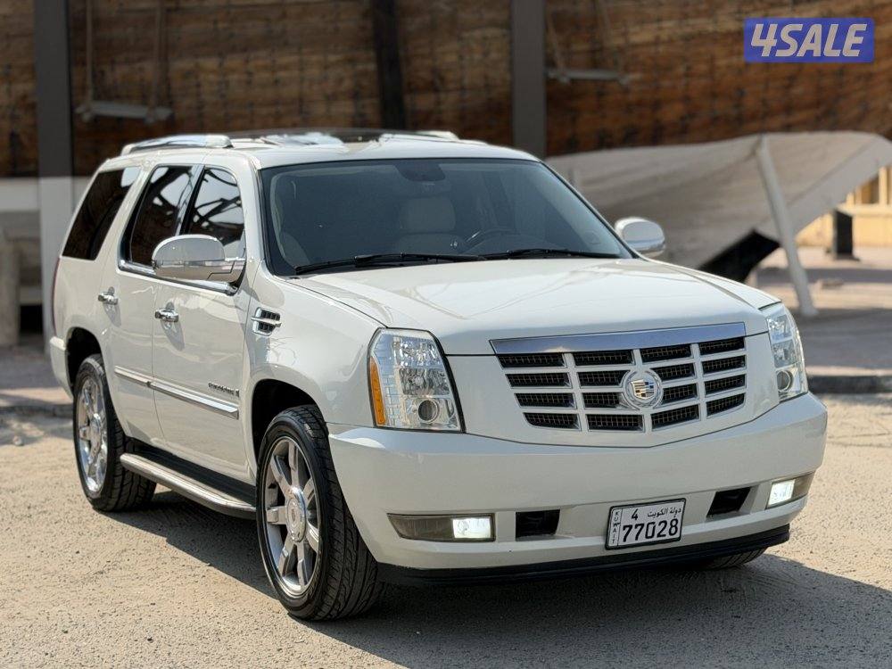 اسكلد 2007 عداد 293 بحاله ممتازه1