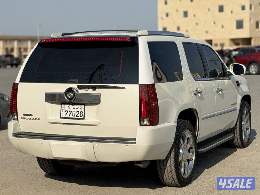 اسكلد 2007 عداد 293 بحاله ممتازه2