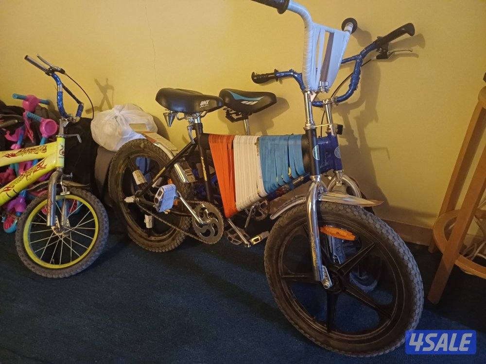 قطعه ثلاثه شارع 10 منزل 550