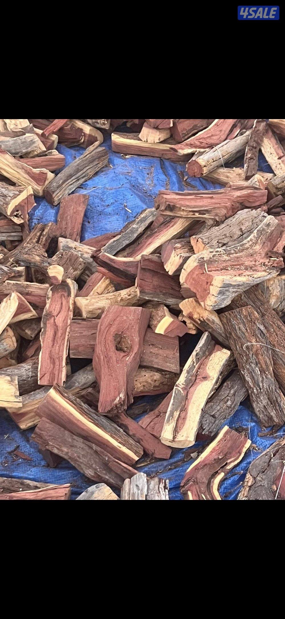 للبيع حطب قررض جروم كبار شي فاخر وطيب5