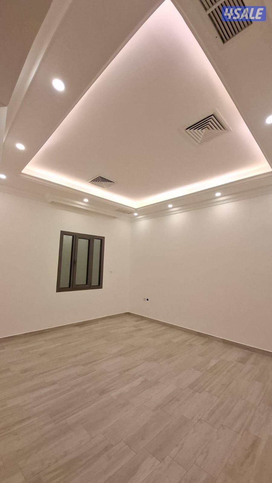 شقه الفنيظيس1