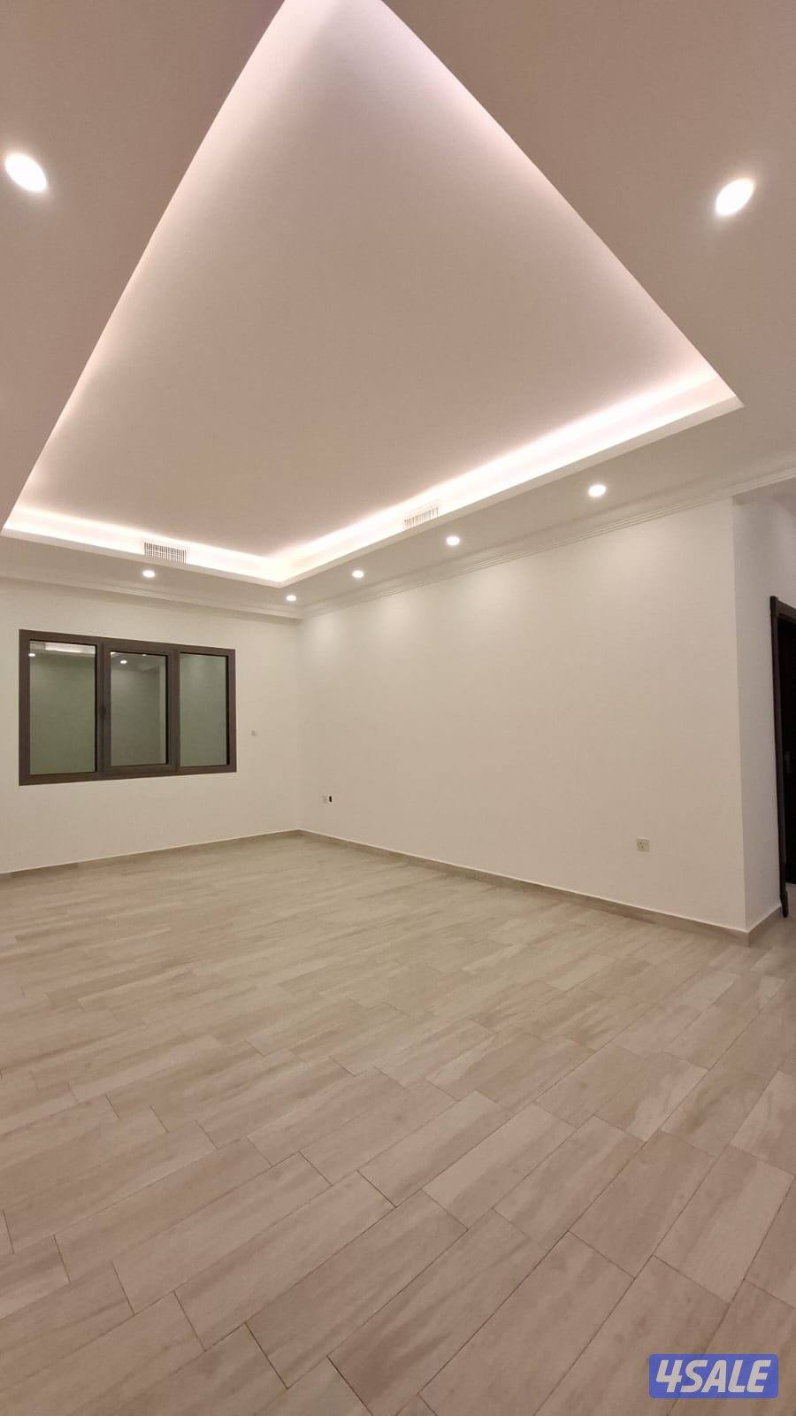 شقه الفنيظيس3