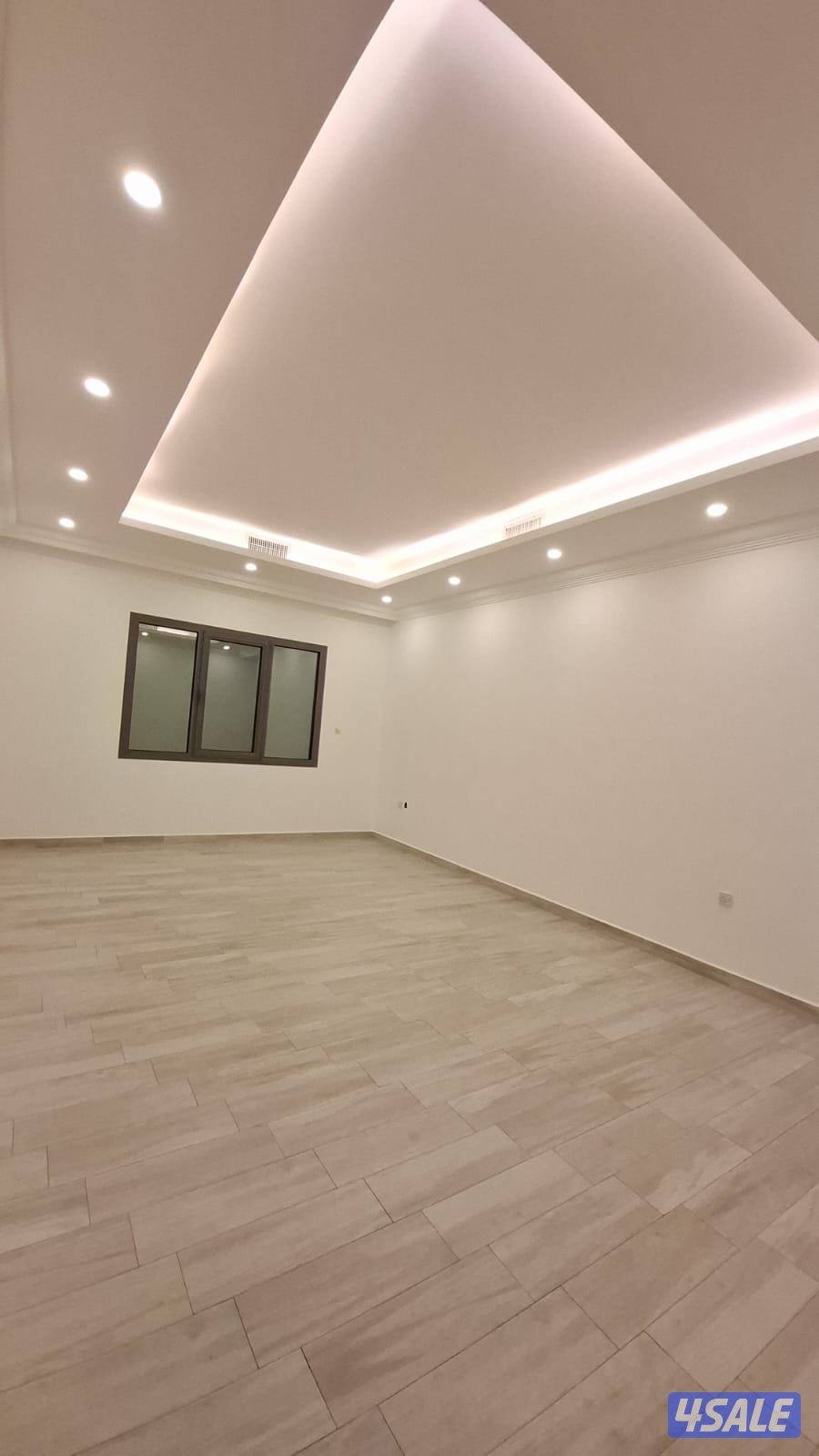 شقه الفنيظيس4