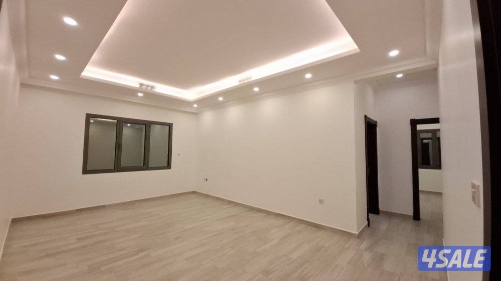 شقه الفنيظيس7