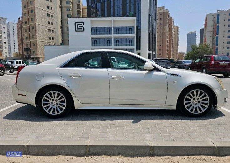 حولي شارع تونس1