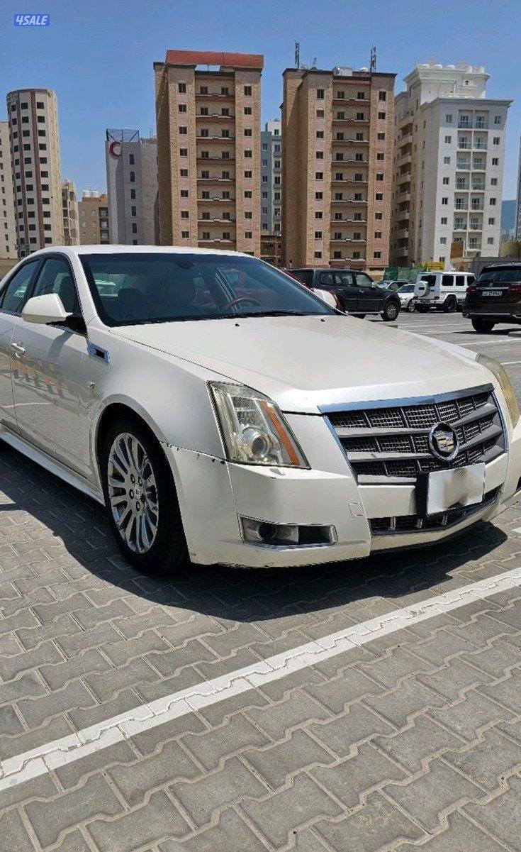 حولي شارع تونس2