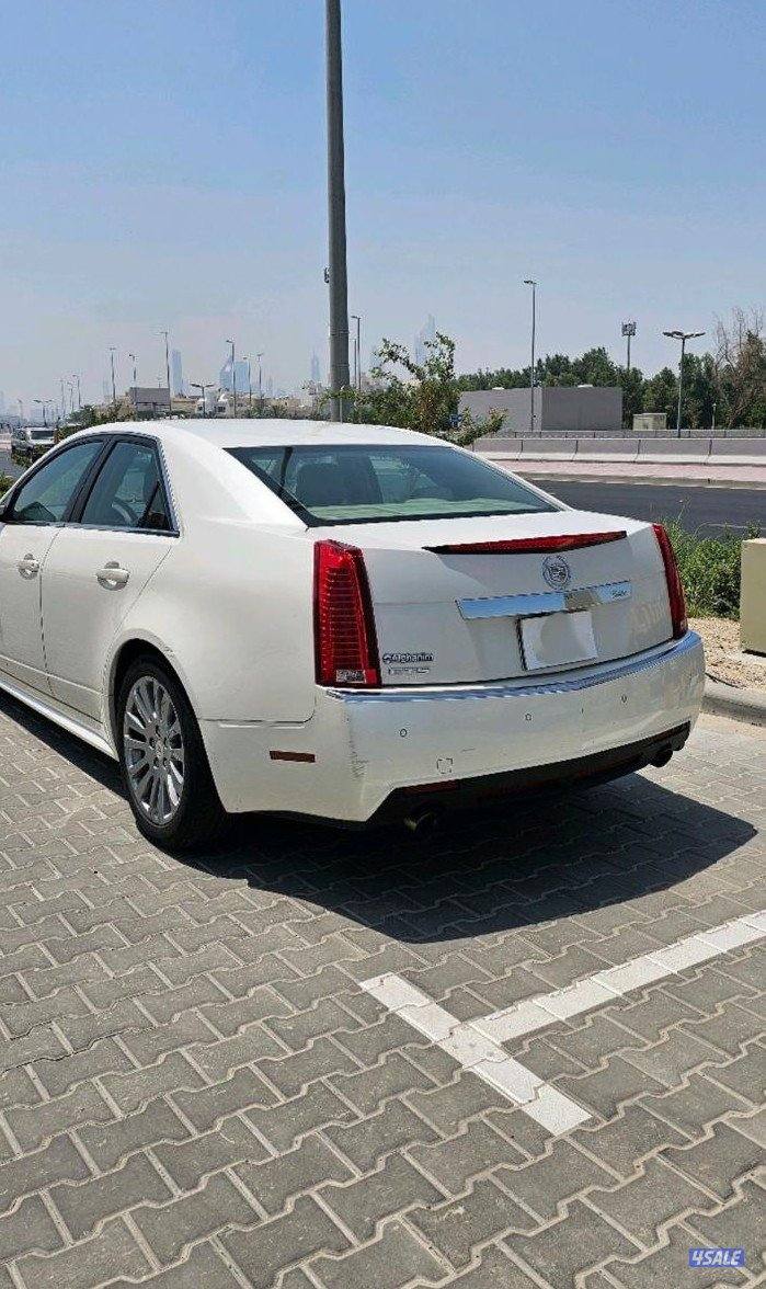 حولي شارع تونس3