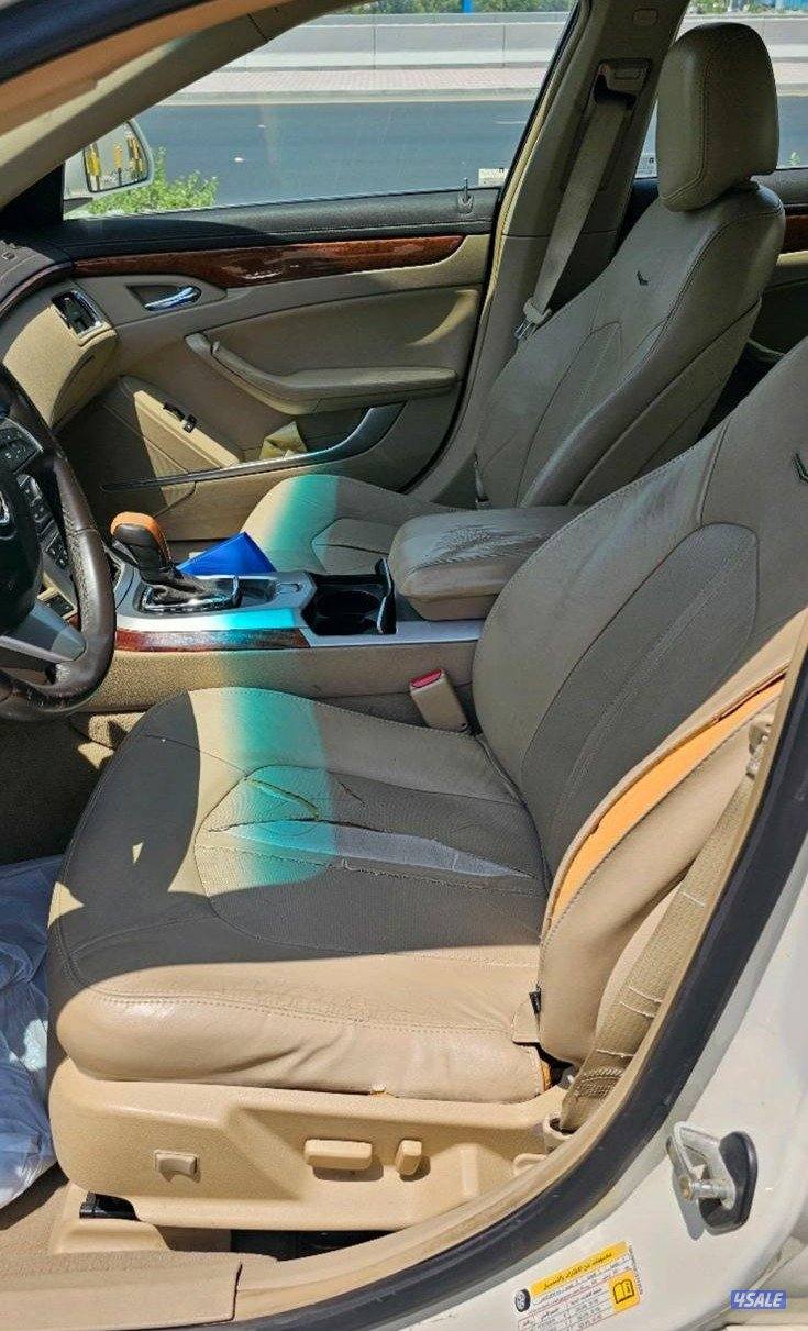 حولي شارع تونس8